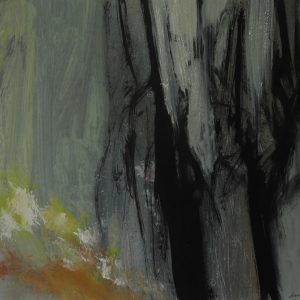 La luz del Bosque 13
