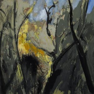 La luz del Bosque 25