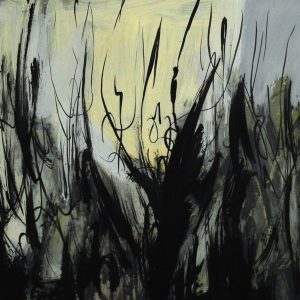 La luz del Bosque 30