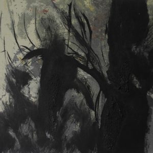 La luz del Bosque 18