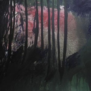 La luz del Bosque 01