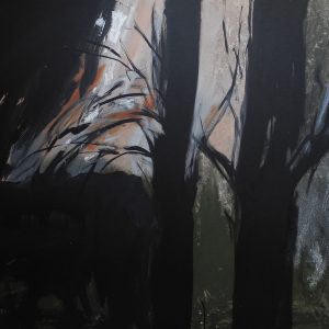 La luz del Bosque 03
