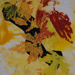 Arce en Otoño 11
