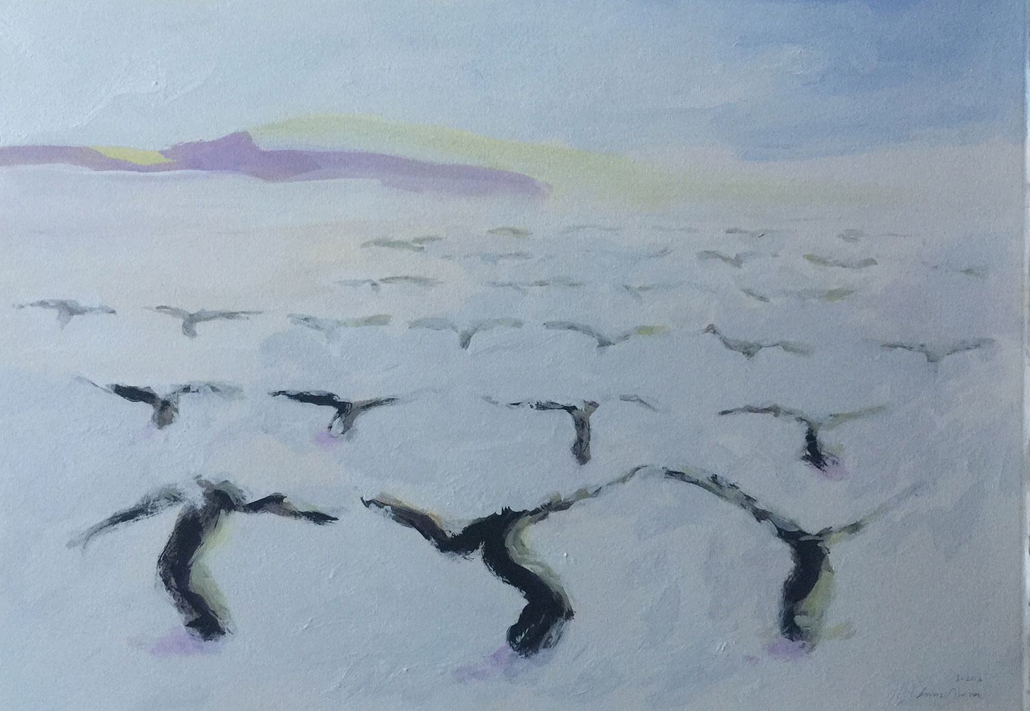 Viñedo invierno 17