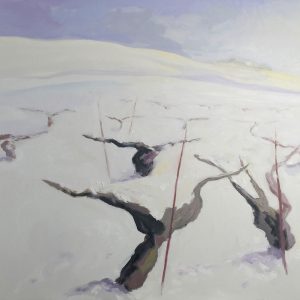 Viñedo invierno 19