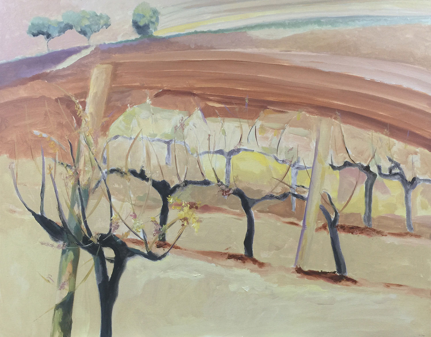 Viñedo otoño 05